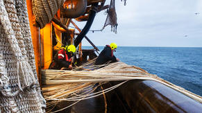 Werken bij Cornelis Vrolijk (IJmuiden)
